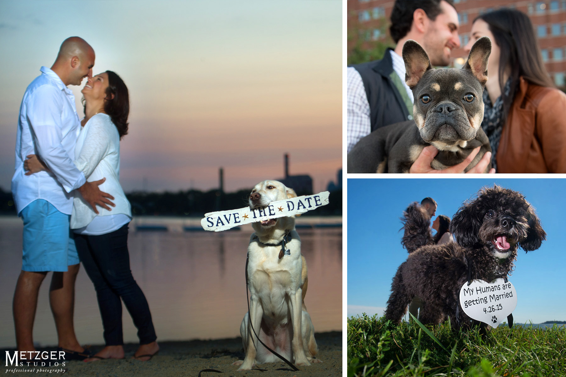 engagment_photography_dogs-Edit