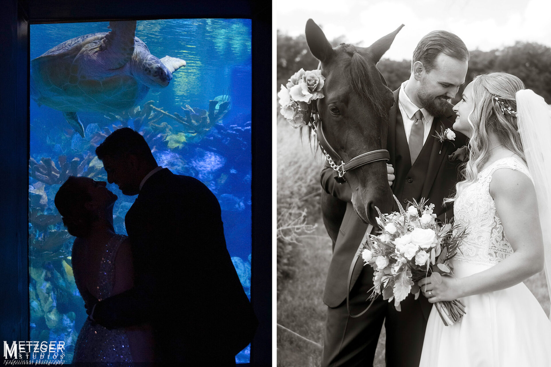 wedding photography aquarium