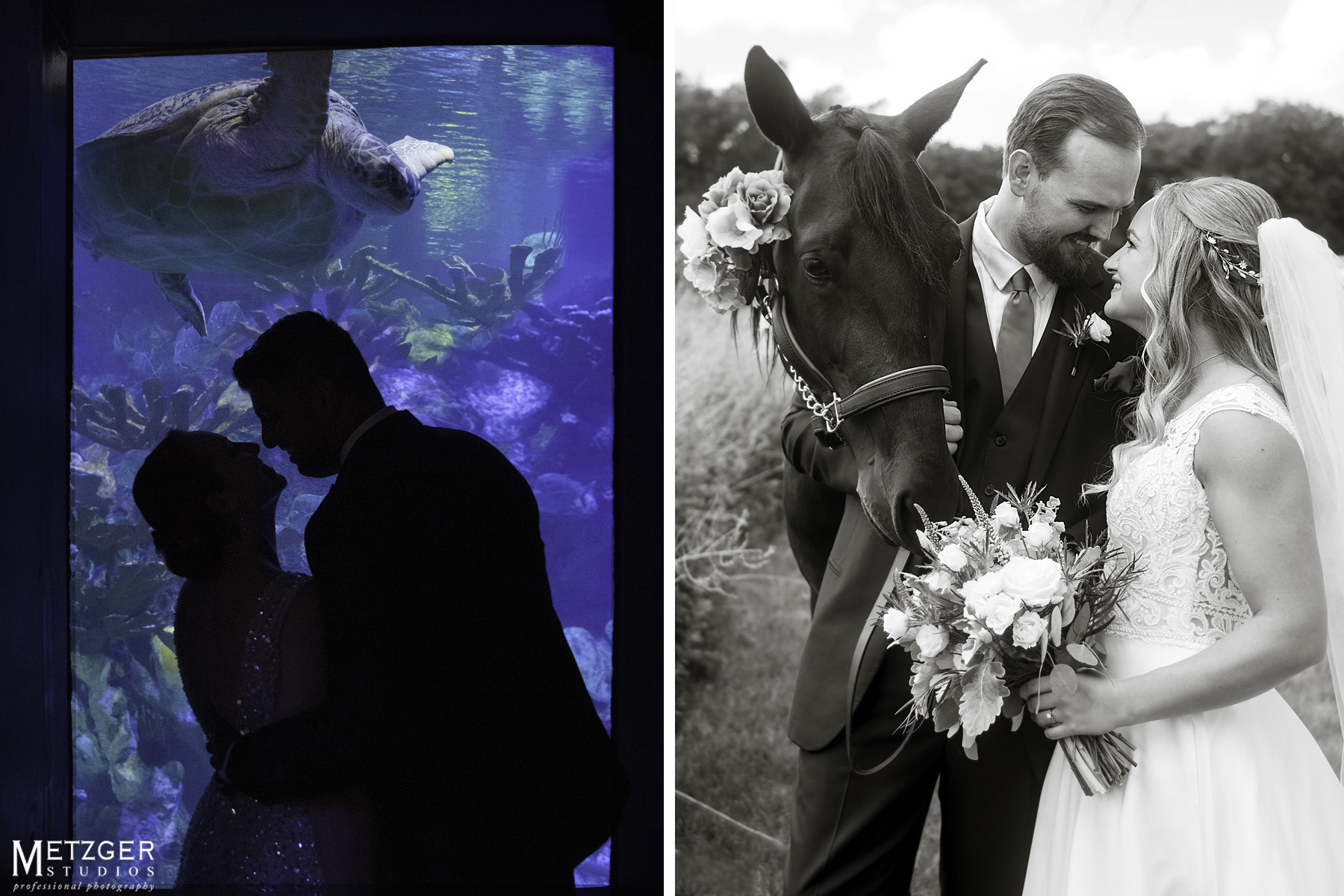 wedding photography aquarium